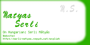 matyas serli business card